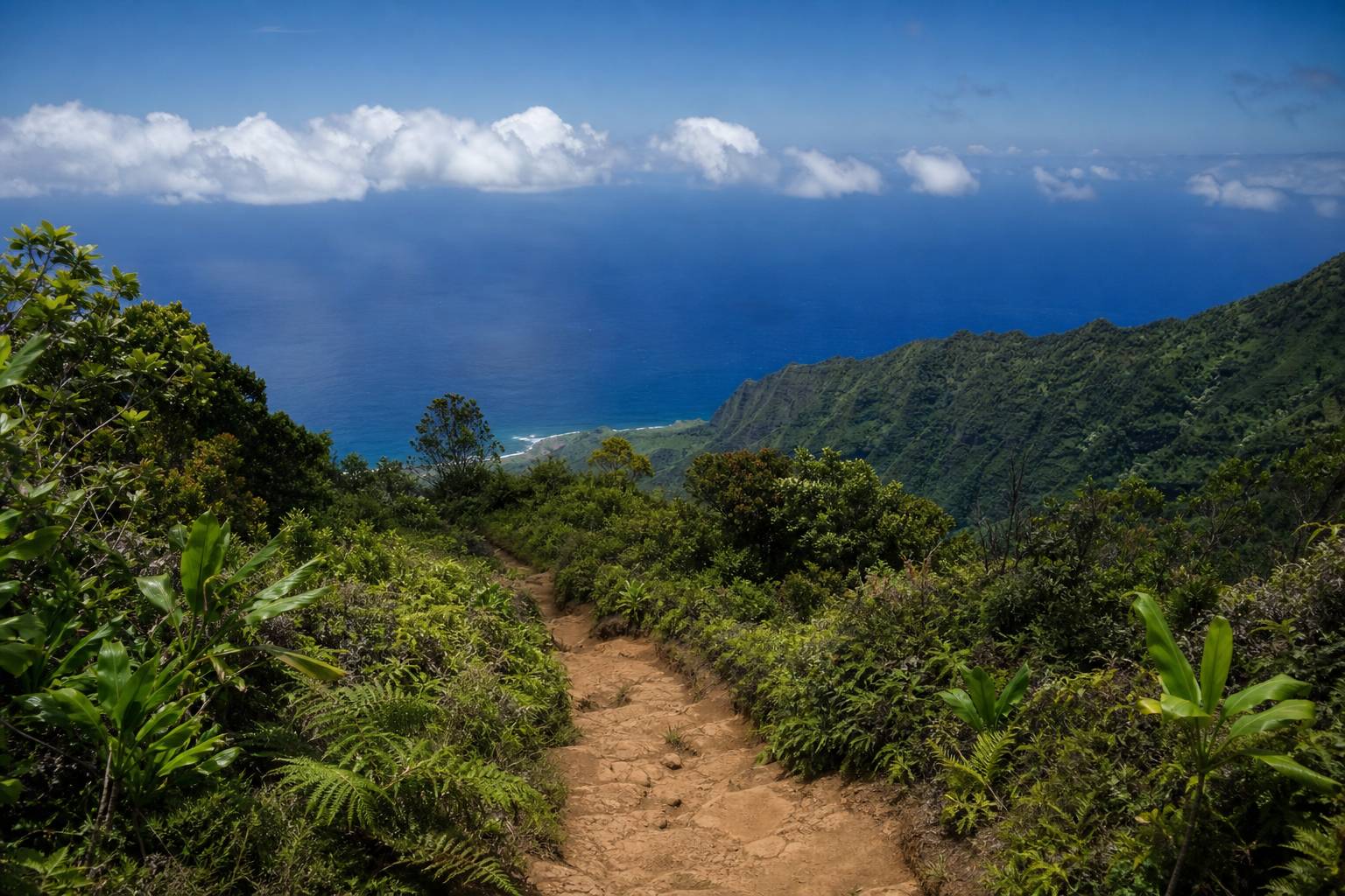 Les 10 plus belles randonnées de Maui